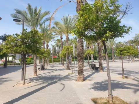 Garaje en calle de Colón, 43